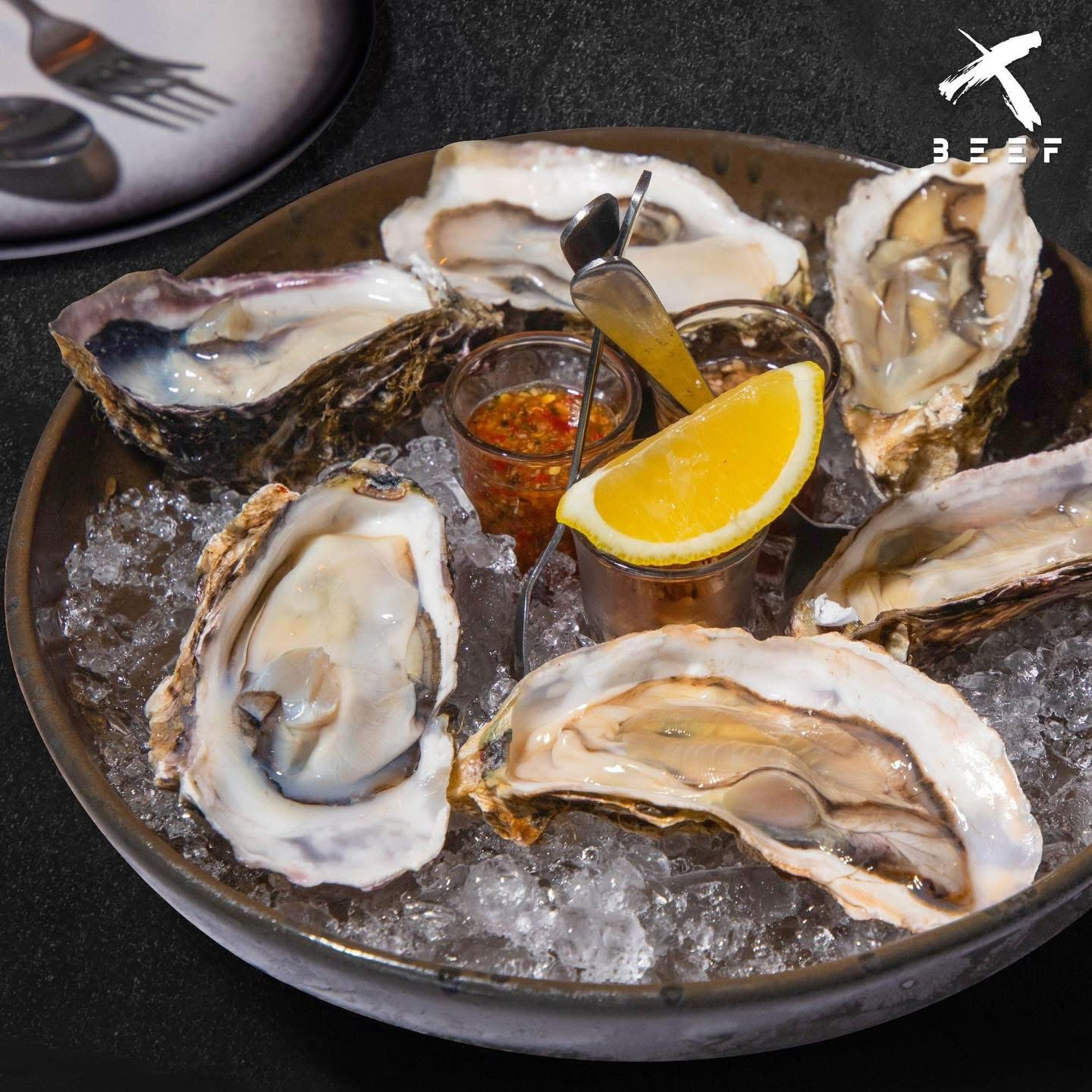 Oysters on ice at X BEEF